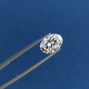 MO1434-3.jpg