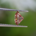 MO14887-2.jpg