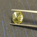 MO585-4.jpg