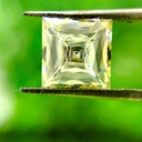 MO684-2.jpg