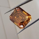MO732-2.jpg
