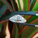 MO4493-5.jpg