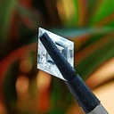 MO4493-3.jpg
